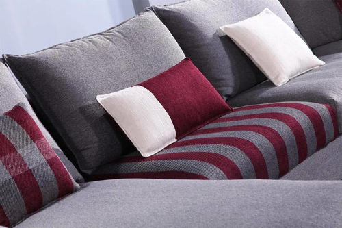 帝言 深化品牌形象,引領(lǐng)軟體家居新風(fēng)尚